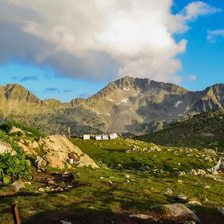 グラミ バンスコ